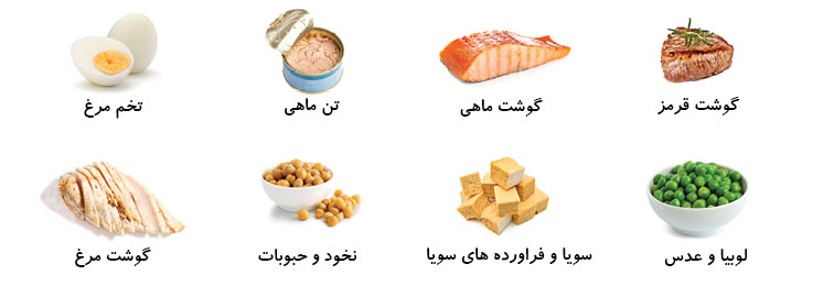 غذاهای پر پروتئین
